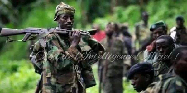 Les groupes armés à l'Est de la RDC 