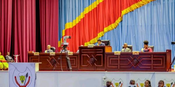 Assemblée nationale de la RDC 