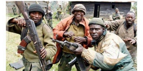 ADF continuent de semer l'insécurité dans la province de l'Ituri