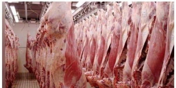 La Zambie approuve l'exportation de la viande bovine vers la RDC