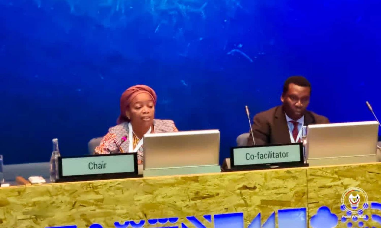 Eve Bazaiba lors de la 5è session de l'ONU sur l'environnement 