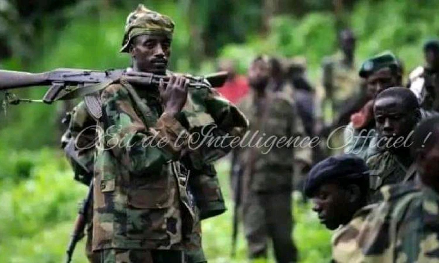 Les groupes armés à l'Est de la RDC 