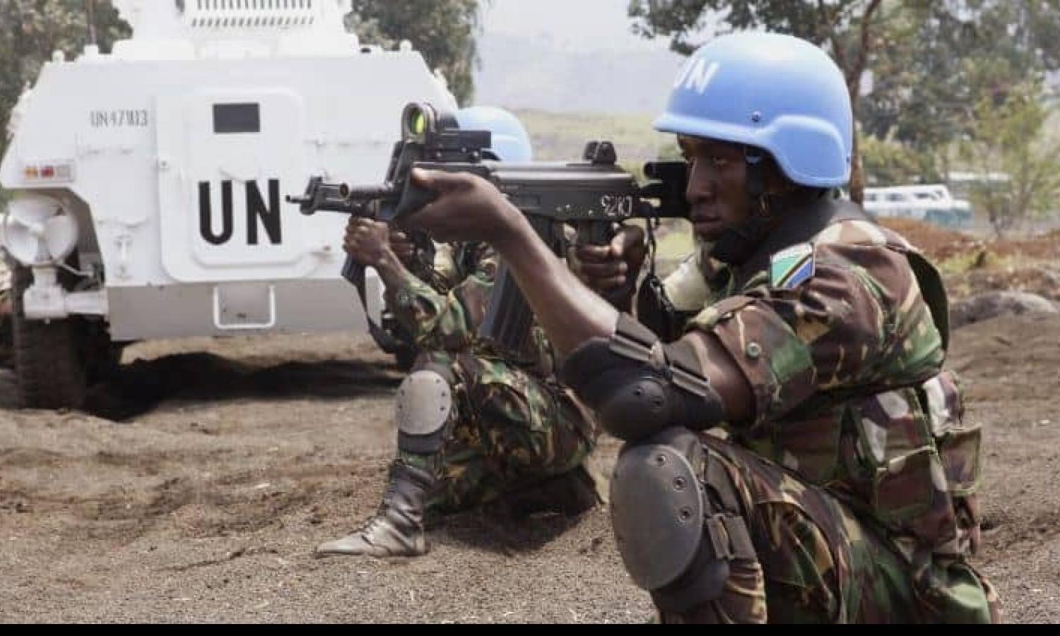  La Monusco 