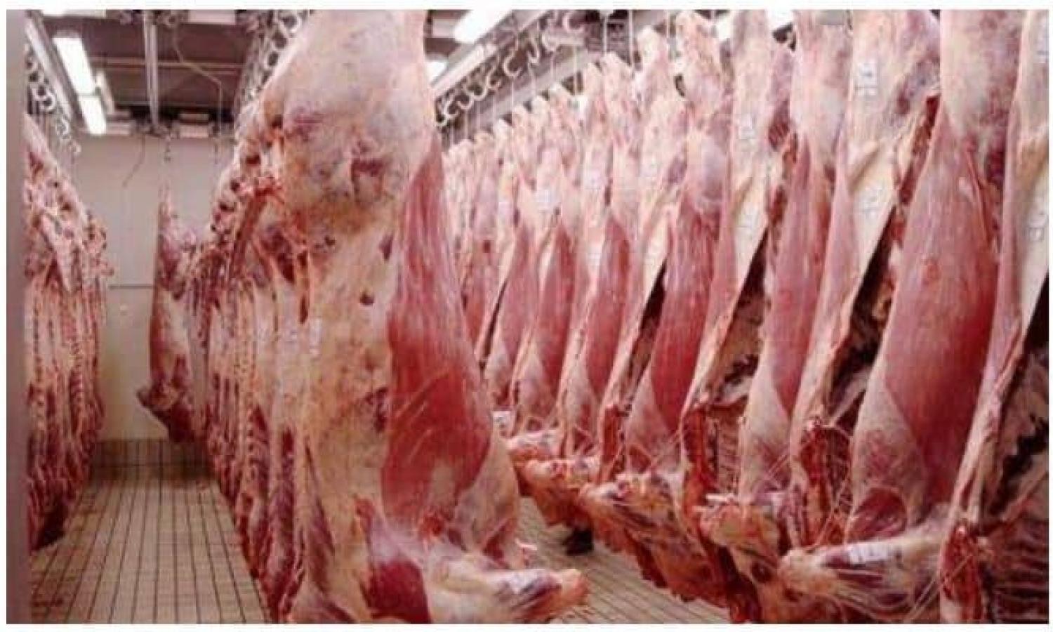 La Zambie approuve l'exportation de la viande bovine vers la RDC